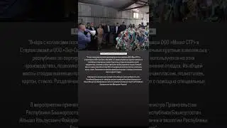 О мусоросортировочных комплексах Стерлитамака. 