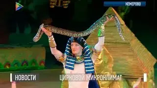 Рейс "Манеж - Египет". В кемеровском цирке состоялась премьера нового шоу