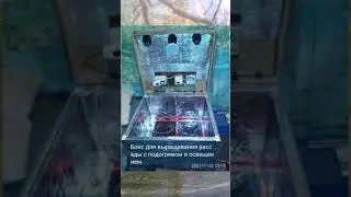 Бокс для рассады своими руками