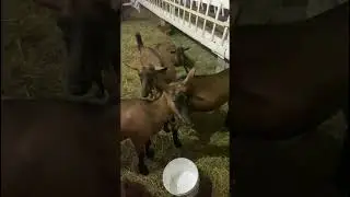 Снова отдыхаю! 