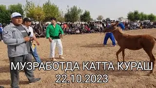 МУЗРАБОТДА КАТТА КУРАШ 22.10.2023