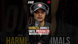 #snakerescuer