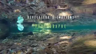 Photographe Professionnel Avignon   Vaucluse Provence   Stephane Ruel