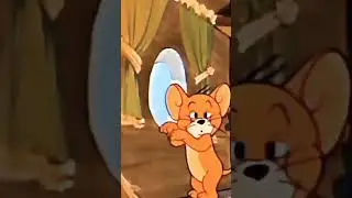 ‪@deksearchchannel‬