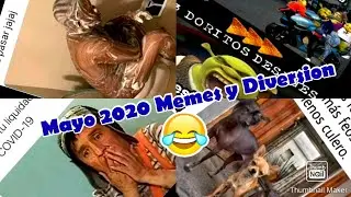 Los mejores memes para pasar la cuarentena, mayo 2020