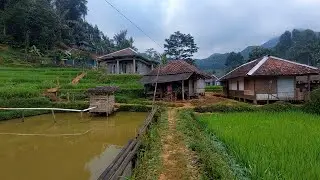 Alam yang indah cocok untuk menikati masa tua di kampung