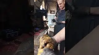 РЖАКА 18+ СМОТРЕТЬ ДО КОНЦА. ГАРАЖНЫЕ ДЕЛА ПРЕДСТАВЛЯЮТ
