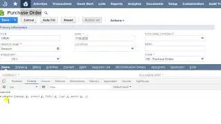 Suitescript API testing in console | Netsuite solution provider