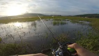 Fishing Lure Snakehead Fish with Steam and Soft Lure NFF. /// Dong Le Fishing.
