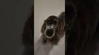 В глубоком снегу
