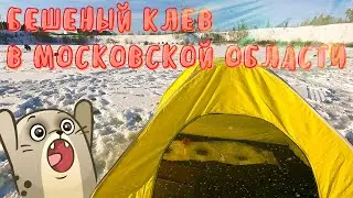 Бешеный клёв! Зимняя рыбалка в Тучково 2022! Где клюёт в глухозимье?!