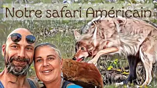 s05e32 - Yellowstone en 12 scènes animalières