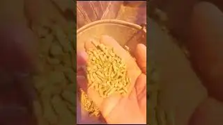 гранулятор для кроликов