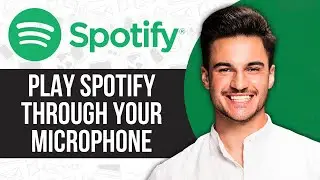 How To Play Spotify Through Your Microphone (2024)