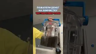 Пожалели $200 на химчистку ковра и чистим его сами 🙈🤩 #переездвсша #влог #жизньвсша