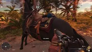 Horse on crack