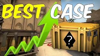 THE BEST CASE FOR MEDIUM BUDGET IN CSGOCASES.COM