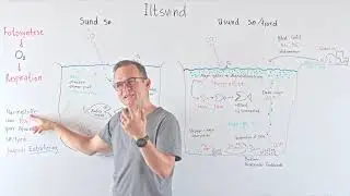 Iltsvind i sø/fjord