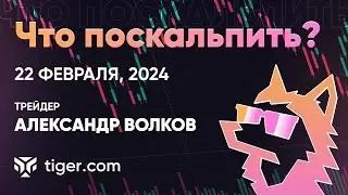Что поскальпить? Обзор криптовалют  с Александром Волковым | 22.02.2024 - Tiger.com