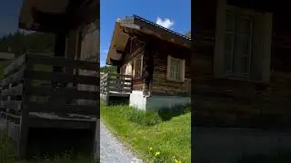#switzerland #traditional #swissalps #nature #viral #cow #youtubeshorts 🇨🇭