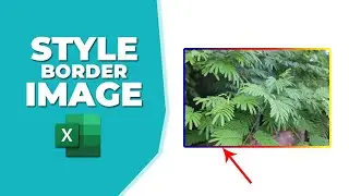 How to insert style border to image in excel