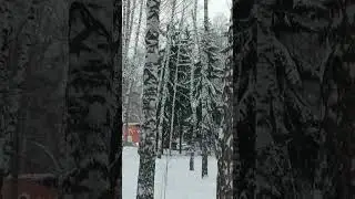 ОЙ🌹Наташа