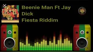 Beenie Man Ft Jay - Dick (with lyrics & a bonus mix at the end)