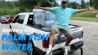 Palm Fish Water Pickup day and ILL Studio's Interview!