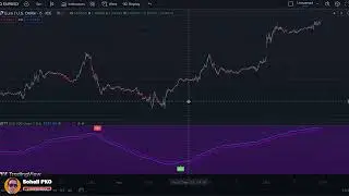 SPECIAL Scalping Indicator Gives INSANE Buy Sell Signals! Incredible Accuracy