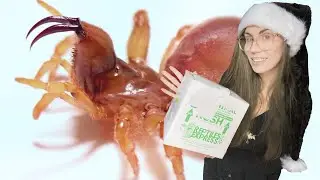 bad attitudes, HUGE fangs .. merry SCARY SPIDER UNBOXING!
