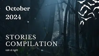 October 2024 Stories Compilation