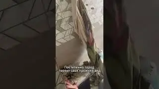17 марта 2024 г.