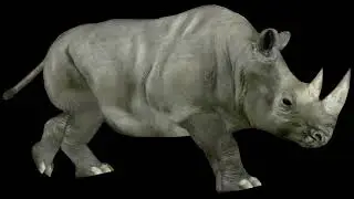 Every animal sound in Big Buck Safari