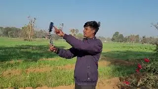 Gorrila Tripod 2023  Best tripod For Vloging 2023 Under 400
