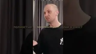 Вписка. Зубарев про своего кота. #зубарев #вписка #коты