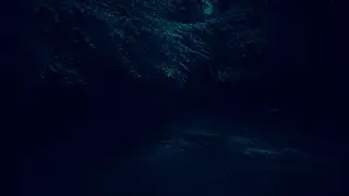 Horror Stock Footage - Haunted Hut in the Woods