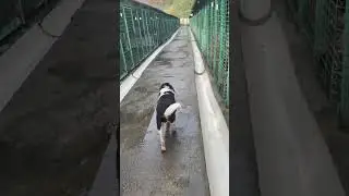 #Зита