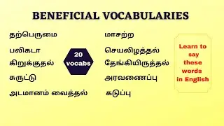 20 PREDOMIDANT VOCABULARIES | VOCABULARIES FOR DAILY USE |