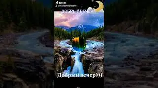 Добрый вечер 🙏