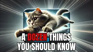 12 Surprising Facts About Male Cat