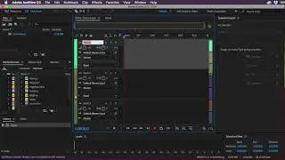 Adobe Audition with Sound Siphon