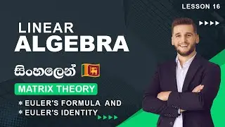 Euler's Formula and Euler's Identity: A Deep Dive into  Mathematics