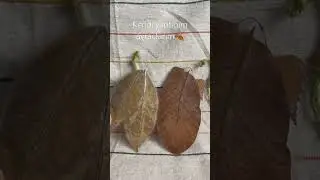 Kendi yaptığım ayraçlarım🍂