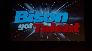 Bison Brevities