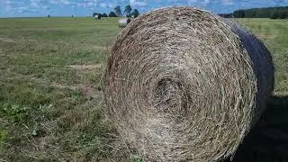 Качественное сено из Калужской области