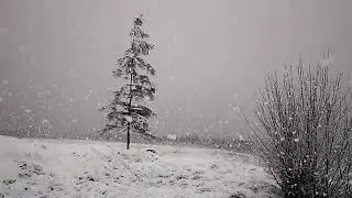 Снег большими хлопьями, красота!