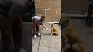 #meme