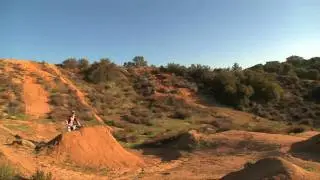 Support the Whip- Sean McClendon