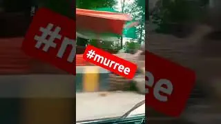 nak da koka #arabic #automobile #murree #music #nature #love #murreediaries