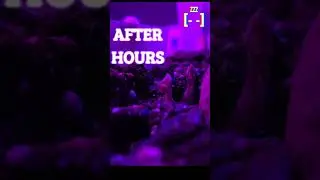 After Hours - Garden time lapse #gardening #timelapse
